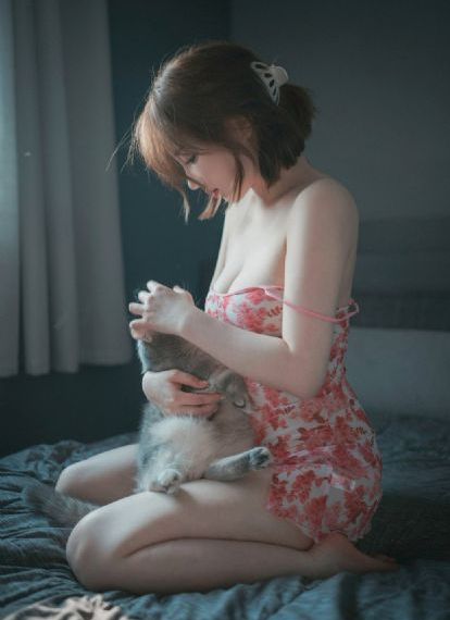 电视剧执行局长全集播放免费观看_1080电影完整版