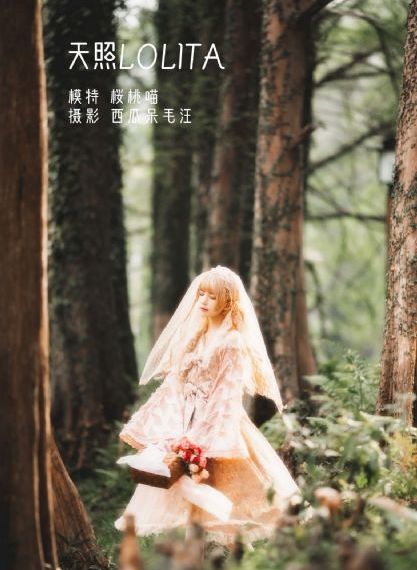 能干的女秘书电影_4K在线手机播放
